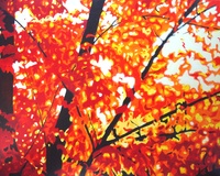 R-maldonado_new_england_fall_1